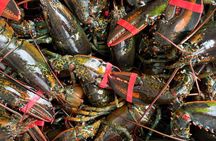 Lobsters & Legacy: An Authentic Lunenburg Experience
