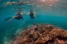 Cap Cana Private Boat with Sandbar Experience