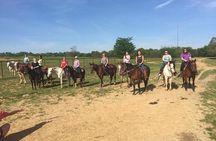 30 Minute Horseback Trail Ride in Memphis