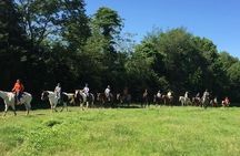 30 Minute Horseback Trail Ride in Memphis