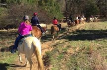 30 Minute Horseback Trail Ride in Memphis