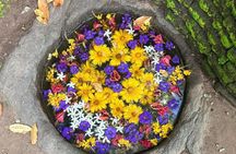 Polonnaruwa Ancient City Private Day Tour from Sigiriya