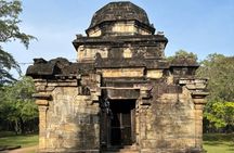 Polonnaruwa Ancient City Private Day Tour from Sigiriya