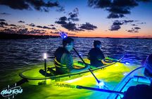 Glowing Kayak Tour Corpus Christi - North Padre Island