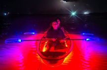 Glowing Kayak Tour Corpus Christi - North Padre Island