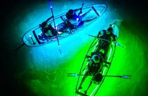 Glowing Kayak Tour Port Aransas - Lighthouse Lakes