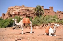 From Marrakech: Ait Benhaddou & Ouarzazate Hollywood Day Trip