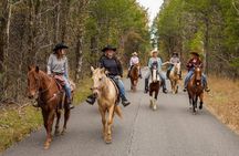 90 Minutes Trail Ride Near Nashville