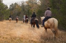 45 Minutes Trail Ride Near Nashville