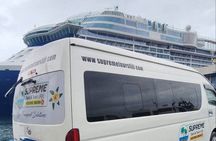 Private Nadi Tours
