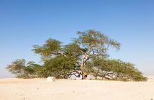 Bahrain Highlights Guided Tour