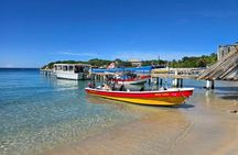 Roatan Horseback Riding with Beach Break Plus City