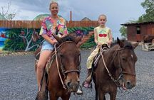 Roatan Horseback Riding with Beach Break Plus City