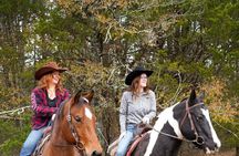 90 Minutes Private Horseback Ride Near Nashville