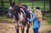 Memphis 1 hour Horseback Trail Ride 
