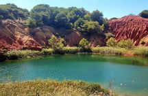 From Lecce & Brindisi: Gallipoli, Otranto & Hidden Gems