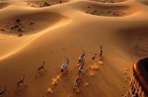 Hot air Balloon Dubai with Transfers & Refreshments