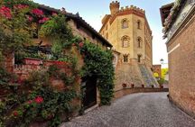 From Milan: Barolo Vineyards & UNESCO Wine Cellar Experience