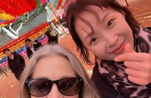 Private Seoul Layover Walking Tour:Meet at Seoul Station