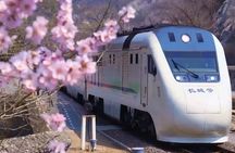 Beijing Great Wall City Park Tour