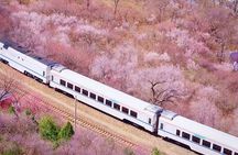 Beijing Great Wall City Park Tour