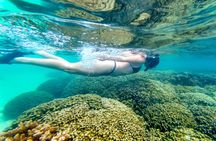 Oahu: Kane‘ohe Sandbar Splash and Snorkeling Adventure