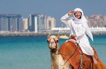 Camel Ride Along JBR Beach with Views of Dubai