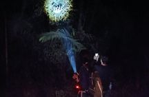 Night walk and search for tarantula sloths