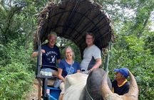 Sri Lanka 7Days Private Guided Tour with Hotels.