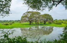 Yala National Park Private Jeep Safari with Entrance Ticket