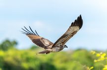 Yala National Park Private Jeep Safari with Entrance Ticket