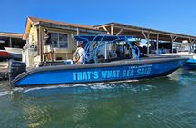 Private Boat Tour Day Around San Pedro