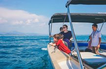 Day trip from Verona to Lake Garda Lazise and Sirmione