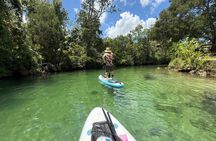 Pet Friendly Weeki Wachee Springs Guided Paddleboard Tour