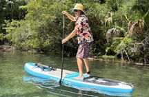 Guided Paddleboard Adventure on Weeki Wachee Springs
