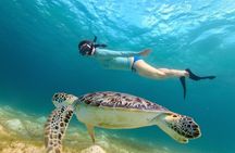 Original Cruisin Tikis Snorkeling Safari