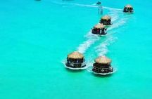 Original Cruisin Tikis Shark Tooth and Sea Shell Scavenger Hunt