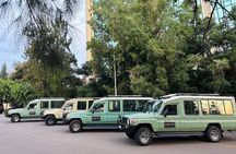 1 Day Gorilla Trekking Safari Tour