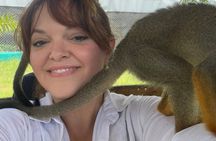 Damajagua Waterfalls Adventure and Monkey Experience