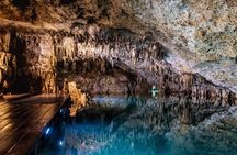 The Best Cenotes in Playa del Carmen Private Tour
