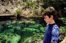 The Best Cenotes in Playa del Carmen Private Tour