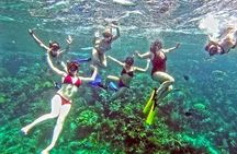 Catamaran Party at Sosúa Snorkeling, Barbecue and Open Bar