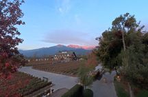 Alyan Family Wines Sunset Experience with Dinner and Transfer