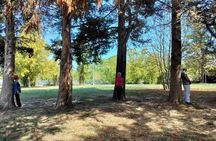 Helsinki: Restorative Forest Experience on Seurasaari Island