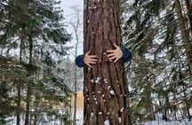 Helsinki: Restorative Forest Experience on Seurasaari Island