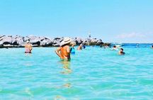 SeaQuest Snorkel and Dolphin Cruise in Destin