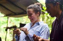 Amazon Forest to Table Cooking Class with Indigenous Hosts