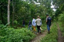 Amazon Forest to Table Cooking Class with Indigenous Hosts