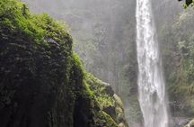 Arusha local Coffee experience: (Optional of waterfall, City tour