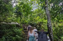 Arusha local Coffee experience: (Optional of waterfall, City tour